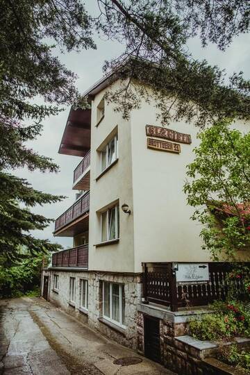 Фото Отели типа «постель и завтрак» Willa Elżbieta г. Карпач 5