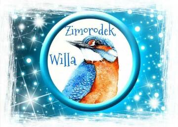 Фото номера Двухместный номер с 1 кроватью Апартаменты Willa Zimorodek г. Карпач 17