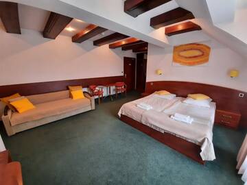 Фото номера Апартаменты Отель Malachit Medical SPA Hotel г. Карпач 4