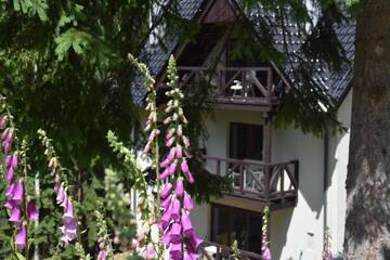 Фото Апартаменты Szafirowy Zakątek г. Карпач 3