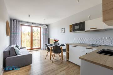 Фото номера Апартаменты с видом на горы Апартаменты Apartamenty BLUE SKY г. Карпач 3