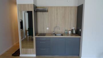 Фото номера Апартаменты с сауной Апарт-отели Green Apartments г. Карпач 19