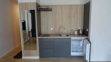 Фото номера Апартаменты с сауной Апарт-отели Green Apartments г. Карпач 34