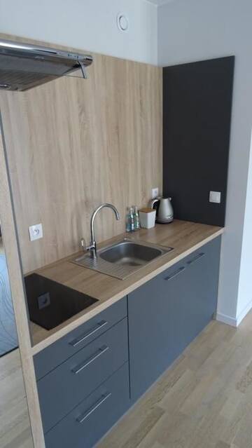 Фото номера Апартаменты с сауной Апарт-отели Green Apartments г. Карпач 35