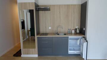 Фото номера Апартаменты с сауной Апарт-отели Green Apartments г. Карпач 9